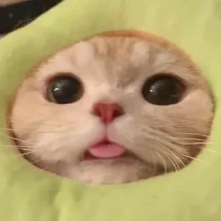 😇
