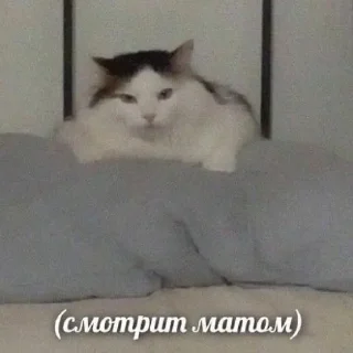 ☹️
