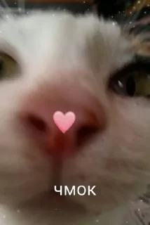 ❤️