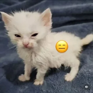 😑