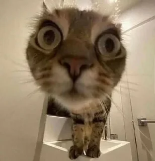 😳