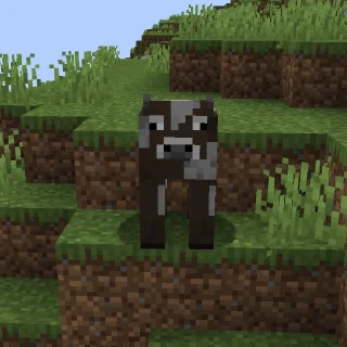 🐄
