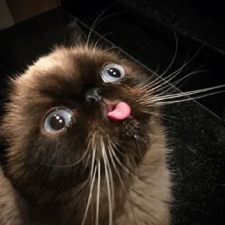😛