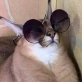 😎