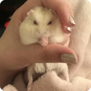 😠