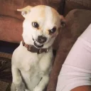 😛