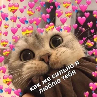 ❤️
