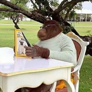 📚