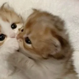 🥰