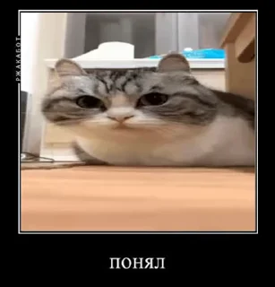 ☺️