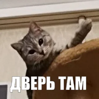 👉