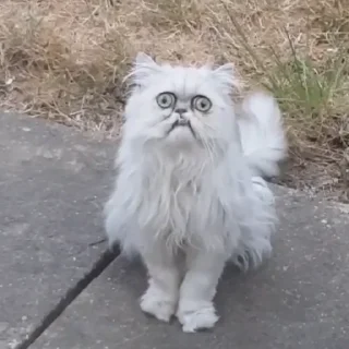 😳