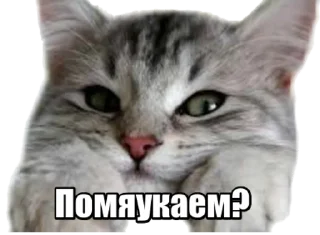 😏