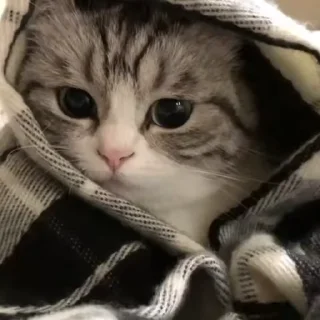 💕