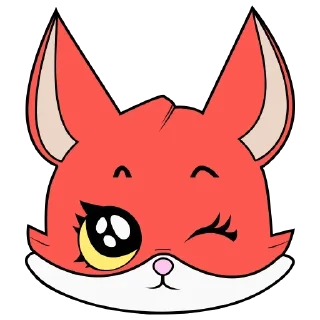🙀