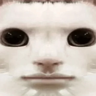 🪞