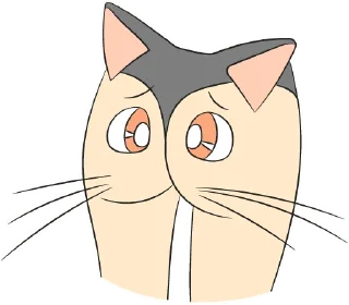 🐈