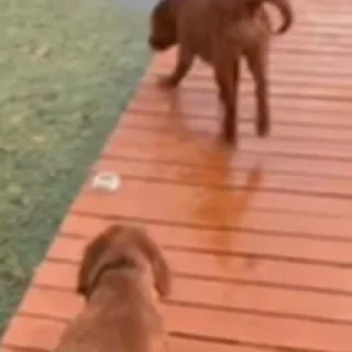 😵