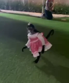 😍