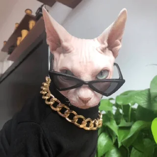 😎