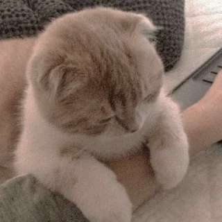 ☹️