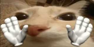 ✋