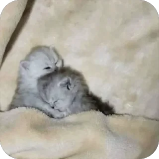 🥰