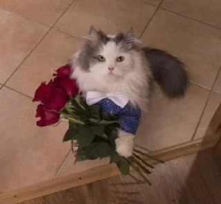 💐