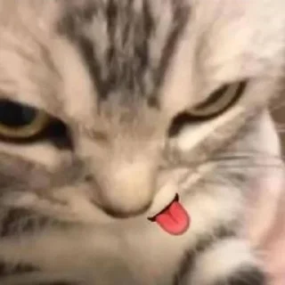 😜