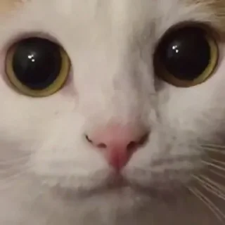 😙