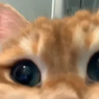 😳