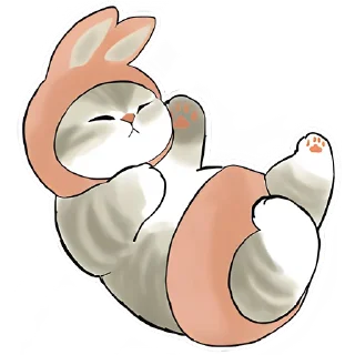 🐰