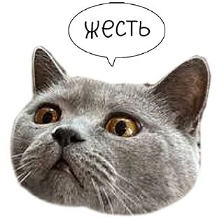 😨