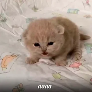😓