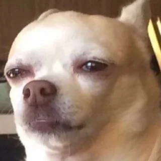 😑