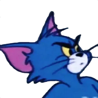 🙀