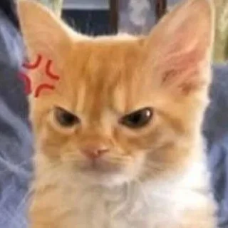 😡