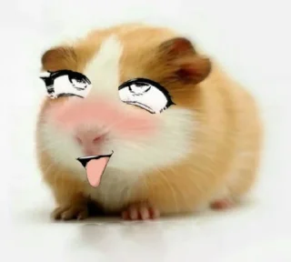 🐹