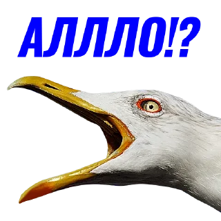 📴