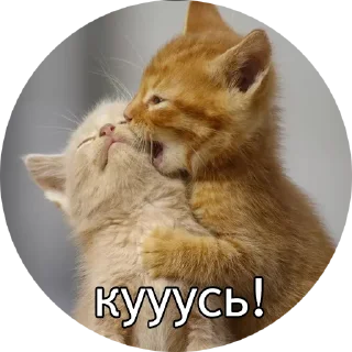 😚