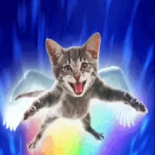🐈