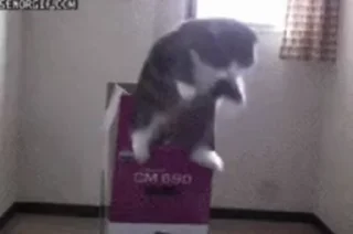 ⭕️