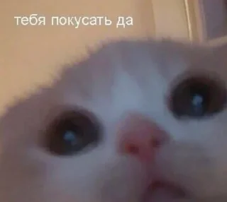 🤨