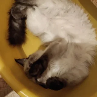 💦