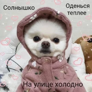❄️
