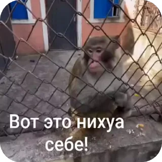 😳