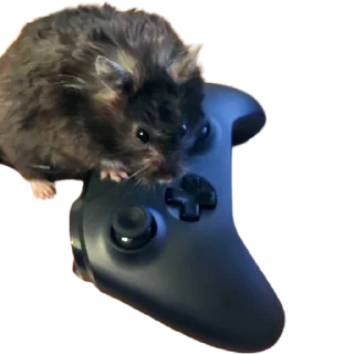 🎮