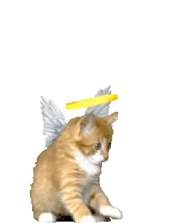 😇