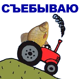 🐠