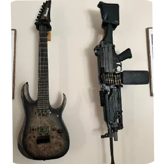 🎸